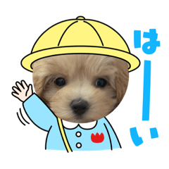 omochi_20220805085614