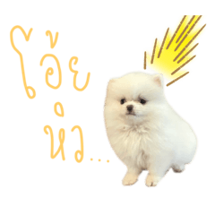 Aris_20220805122036 – LINE 스티커 | LINE STORE