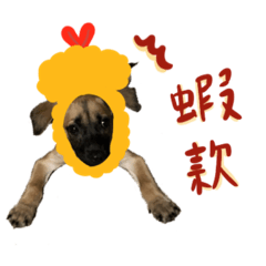 二妹語錄系列一