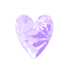 TEST_Heart_66