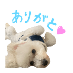 Fuwa_iiii