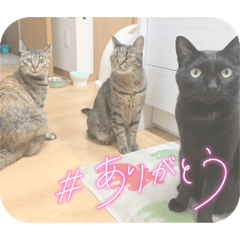 Rina_20220805144525