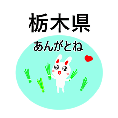 Tochigi dialect sticker in Tochigi