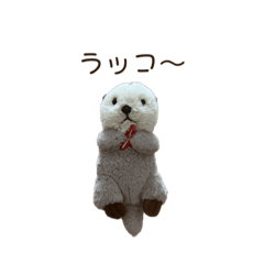 megumi_20220804230820