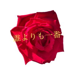 ROSE  JAPANESE  LINE stickers