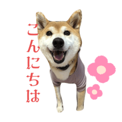 yukari_20220805152559