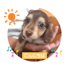 saori_20220805154203