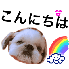 SAORI_20220805154814