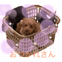 mochimoco
