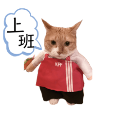 Q比小喵