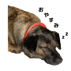 manjyu88_20220805204236