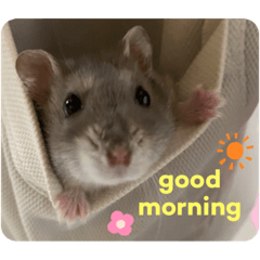 yuka_20220805214404