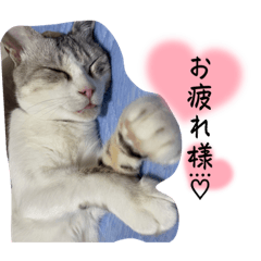 yun_20220805214941
