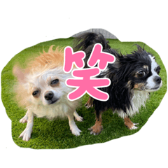 MisA_20220805232653