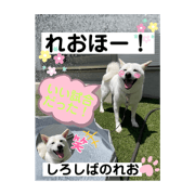 m.tatsuya..._20220806000736