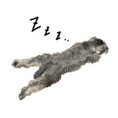 723_20220806000544 - Stiker LINE | LINE STORE