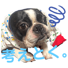 hamajikun