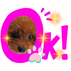 yun_20220806011335
