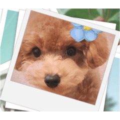 Smile_20220806090829