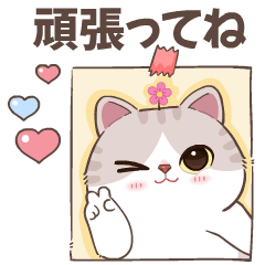 AngPao Cat :All the best you wishV.Japan