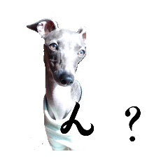 RAIKA_20220806084827