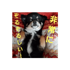rutaro_20220806133648