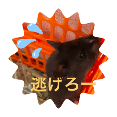 mizuki_20220806151816