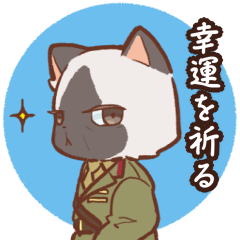 trench cat pair2(Japanese)