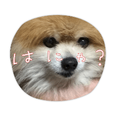 hikaru_20220806155032