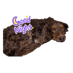 Yukari_20220806114928