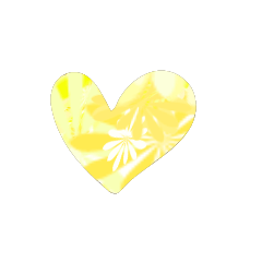 TEST_Heart_73