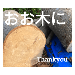 A tree that speaks in the Kansai dialect