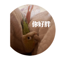 盜版的西屯動物園