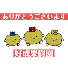 Michiko_20220806