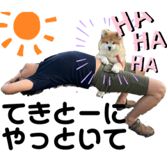 秋田犬ふふ村のぼやき