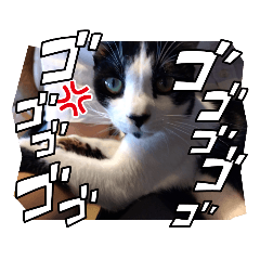 meguwo_20220806183724