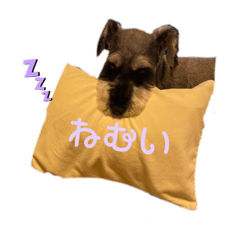 ton_20220806205503