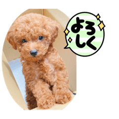 YUTO_20220806172024