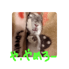 momotaro_20220806183952