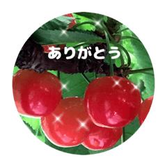 Cherry Star_20220806202111