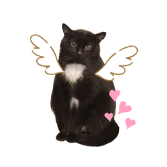 Yuka_chocochan