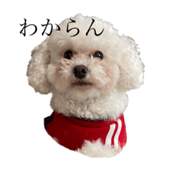 Momoko_20220807014119