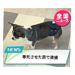 mizuki_20220806190136