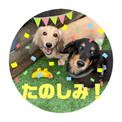 yuka_20220806165905
