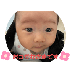 akari_20220806192630