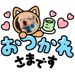 Hikari_20220806230232