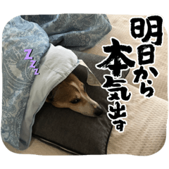 suzu_20220806214435