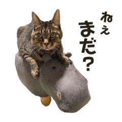 saori_20220806222809