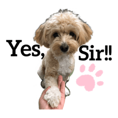 sayuri_20220806231651