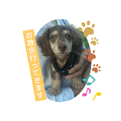 saori_20220806232802